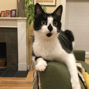 Meet your Posher, Jessica